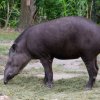 berlinzoo23